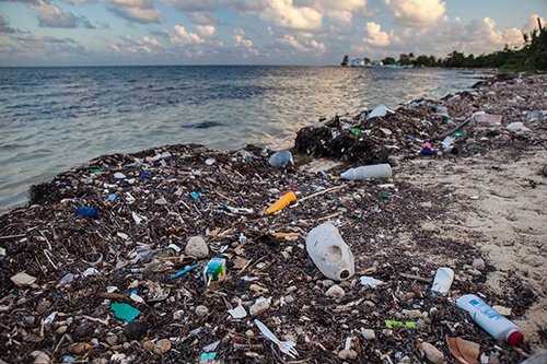 Plastic refuse littered across a beach alongside the ocean